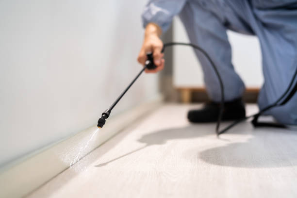 Licensed Fumigation Services service in Calcutta, OH - Nex Pest Control