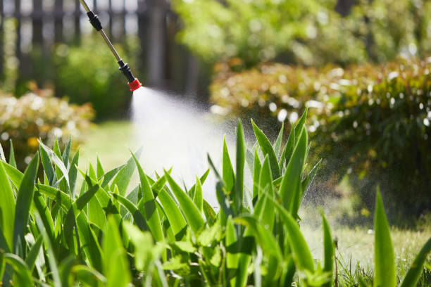 24/7 Emergency Fumigation Services experts in Calcutta, OH