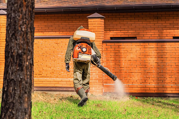 Top rated local Fumigation Services specialists in Calcutta, OH